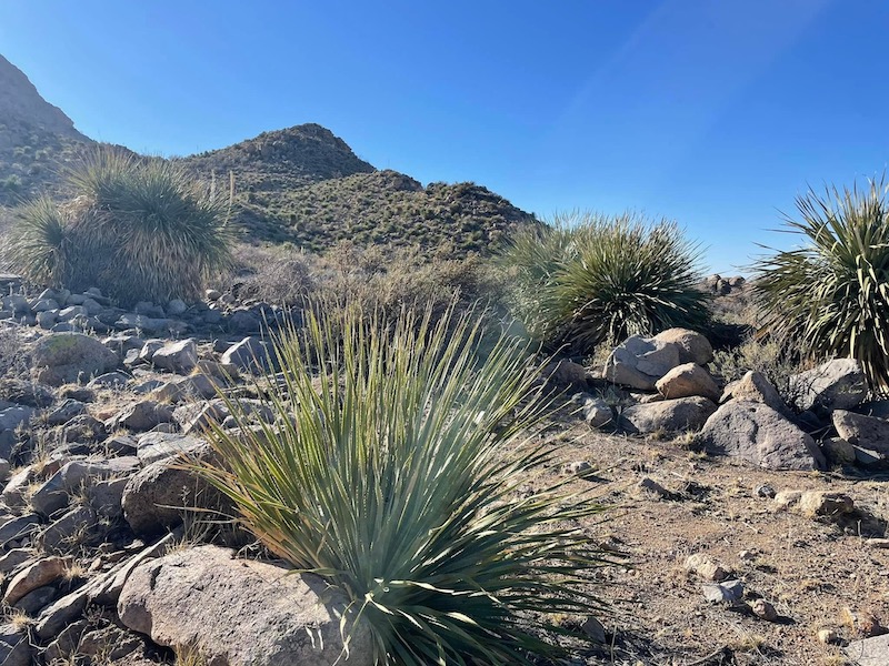 Baylor Canyon of the Organ Mountains, photo by Susan